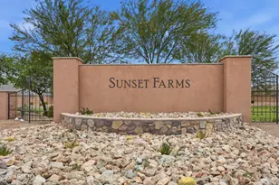 4206 S 96th Ln, Tolleson, AZ 85353 - Photo 40