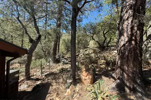 6873 E Torpedo Rd, Crown King, AZ 86343 - Photo 26