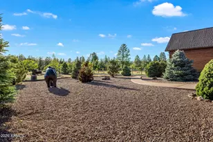 2868 Meadow Rd, Heber, AZ 85928 - Photo 52