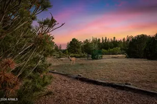 2868 Meadow Rd, Heber, AZ 85928 - Photo 50