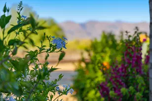 29311 N 156th St, Scottsdale, AZ 85262 - Photo 70