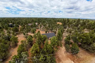 4935 Starlight Dr, Happy Jack, AZ 86024 - Photo 32