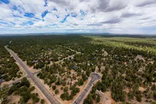 4935 Starlight Dr, Happy Jack, AZ 86024 - Photo 40