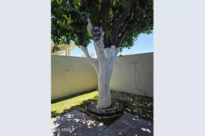 17438 N Boswell Boulevard, Sun City, AZ 85373 - Photo 12
