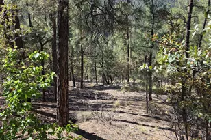 6755 S Eureka Ln, Prescott, AZ 86303 - Photo 24