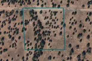 1171 Buffington Hill Rd, Holbrook, AZ 86025 - Photo 1