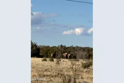 785 Twin Tanks Road #'-', Heber, AZ 85928 - Photo 18