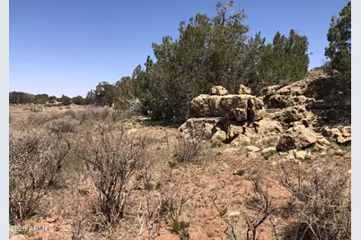785 Twin Tanks Road #'-', Heber, AZ 85928 - Photo 4