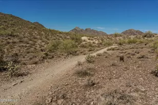2335 E Shangri La Rd, Phoenix, AZ 85028 - Photo 46
