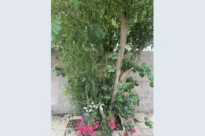 3429 W Fraktur Road, Phoenix, AZ 85041 - Photo 26