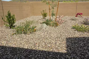 12518 W Cassia Trail, Peoria, AZ 85383 - Photo 44