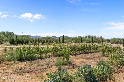 35448 2nd Street, Wenden, AZ 85357 - Photo 4