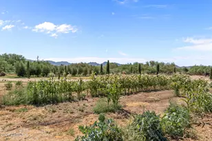 35448 2nd St, Wenden, AZ 85357 - Photo 4