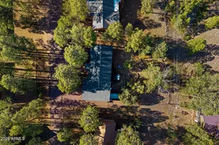 3307 Pine Cone Dr, Overgaard, AZ 85933 - Photo 44