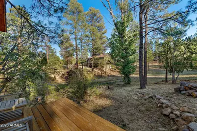 3307 Pine Cone Drive, Overgaard, AZ 85933 - Photo 36