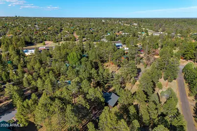 3307 Pine Cone Drive, Overgaard, AZ 85933 - Photo 42