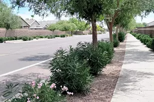 15454 W Cameron Dr, Surprise, AZ 85379 - Photo 50