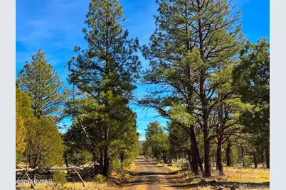 11 Co Rd 3262 5 Acres -- #-, Vernon, AZ 85940 - Photo 2