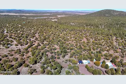 11 Co Rd 3262 5 Acres -- #-, Vernon, AZ 85940 - Photo 10