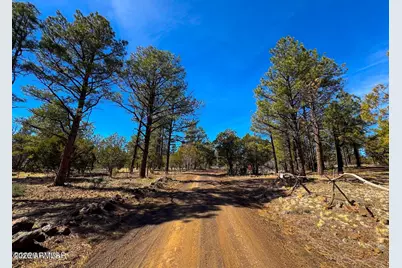 11 Co Rd 3262 5 Acres -- #-, Vernon, AZ 85940 - Photo 4