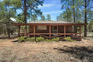 2943 Buckskin Rd, Overgaard, AZ 85933 - Photo 2