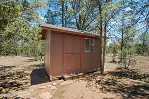 2943 Buckskin Rd, Overgaard, AZ 85933 - Photo 34