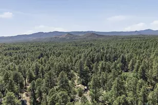 4510 S Senator Hwy, Groom Creek, AZ 86303 - Photo 48