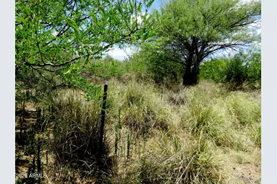 Tbd N Tulley Road #-, Hereford, AZ 85615 - Photo 8
