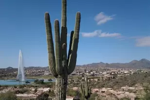14837 N El Sobrante Ave, Fountain Hills, AZ 85268 - Photo 36