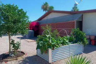 2900 W Superstition Blvd, Apache Junction, AZ 85120 - Photo 14