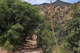 3157 W Hwy 80 St, Bisbee, AZ 85603 - Photo 2