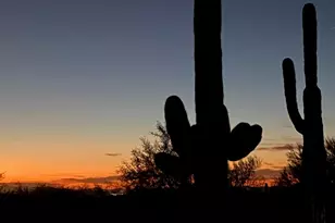 25555 N Windy Walk Dr, Scottsdale, AZ 85255 - Photo 42