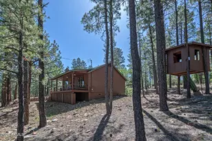 3215 Hopi Dr, Happy Jack, AZ 86024 - Photo 6