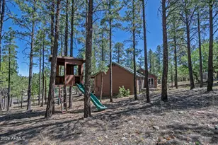 3215 Hopi Dr, Happy Jack, AZ 86024 - Photo 32