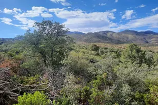 1Xx N Chicory Ln, Globe, AZ 85501 - Photo 1