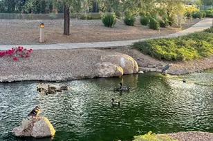 4601 S Renaissance Dr, Gilbert, AZ 85297 - Photo 22