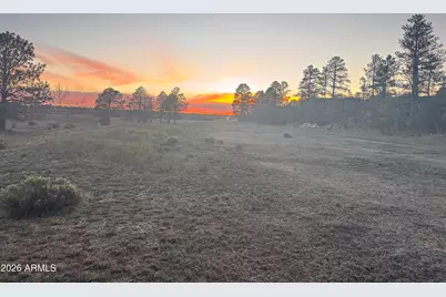 2209 Country Club Drive, Overgaard, AZ 85933 - Photo 2