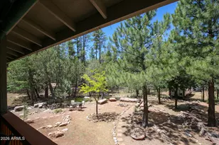 3664 N Mistletoe Dr, Pine, AZ 85544 - Photo 18