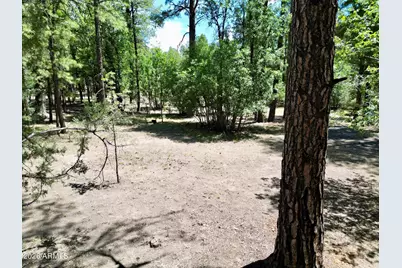 6348 Juniper Ridge Road, Show Low, AZ 85901 - Photo 28