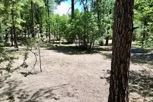 6348 Juniper Ridge Rd, Show Low, AZ 85901 - Photo 28