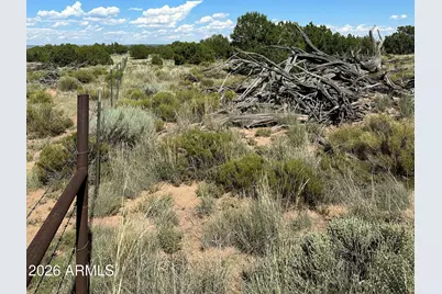 #331 N7326 --, Saint Johns, AZ 85936 - Photo 22
