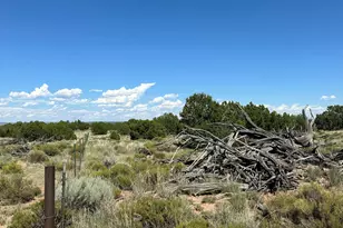#331 N7326 --, Saint Johns, AZ 85936 - Photo 22