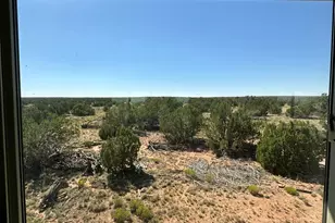 #331 N7326 --, Saint Johns, AZ 85936 - Photo 18