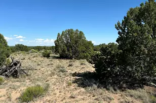 #331 N7326 --, Saint Johns, AZ 85936 - Photo 24