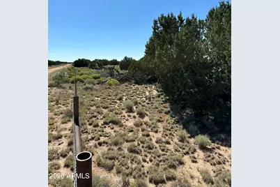 #331 N7326 --, Saint Johns, AZ 85936 - Photo 26