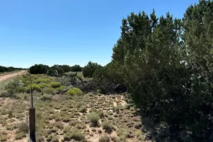 #331 N7326 --, Saint Johns, AZ 85936 - Photo 26