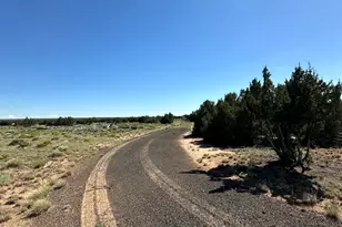 #331 N7326 --, Saint Johns, AZ 85936 - Photo 32