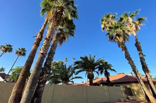 2663 W Gila Ln, Chandler, AZ 85224 - Photo 12