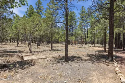 2918 Starlight Drive, Happy Jack, AZ 86024 - Photo 42