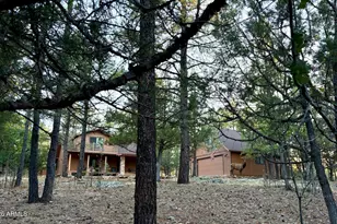 2918 Starlight Dr, Happy Jack, AZ 86024 - Photo 44